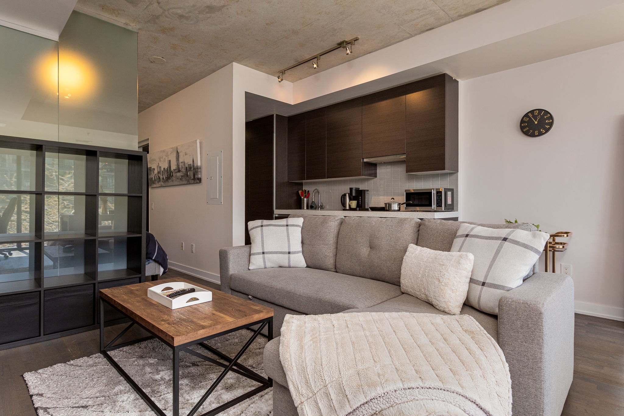 Toronto property showcase — delivered property photograph 13