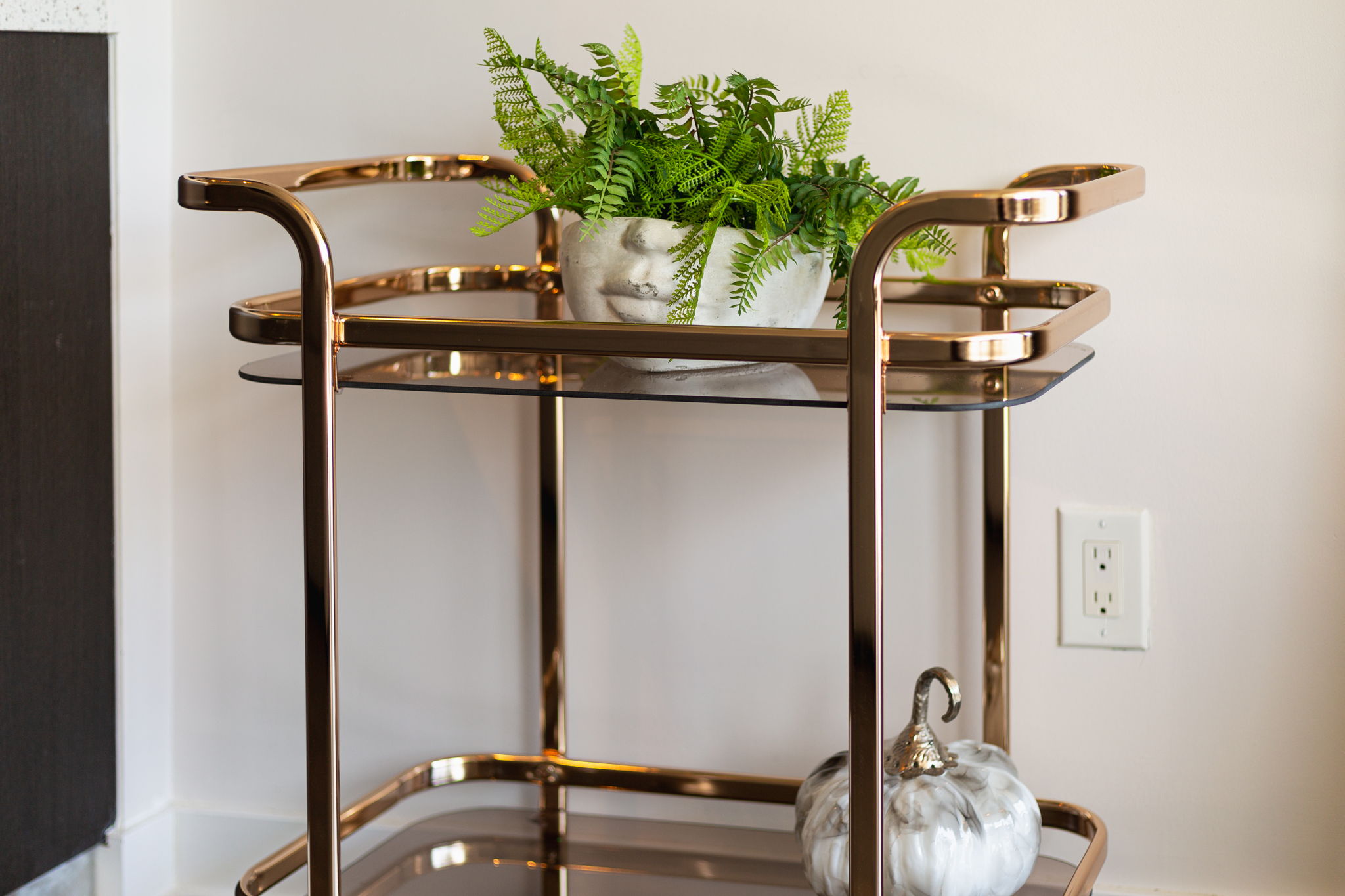 Toronto property showcase — delivered property photograph 14