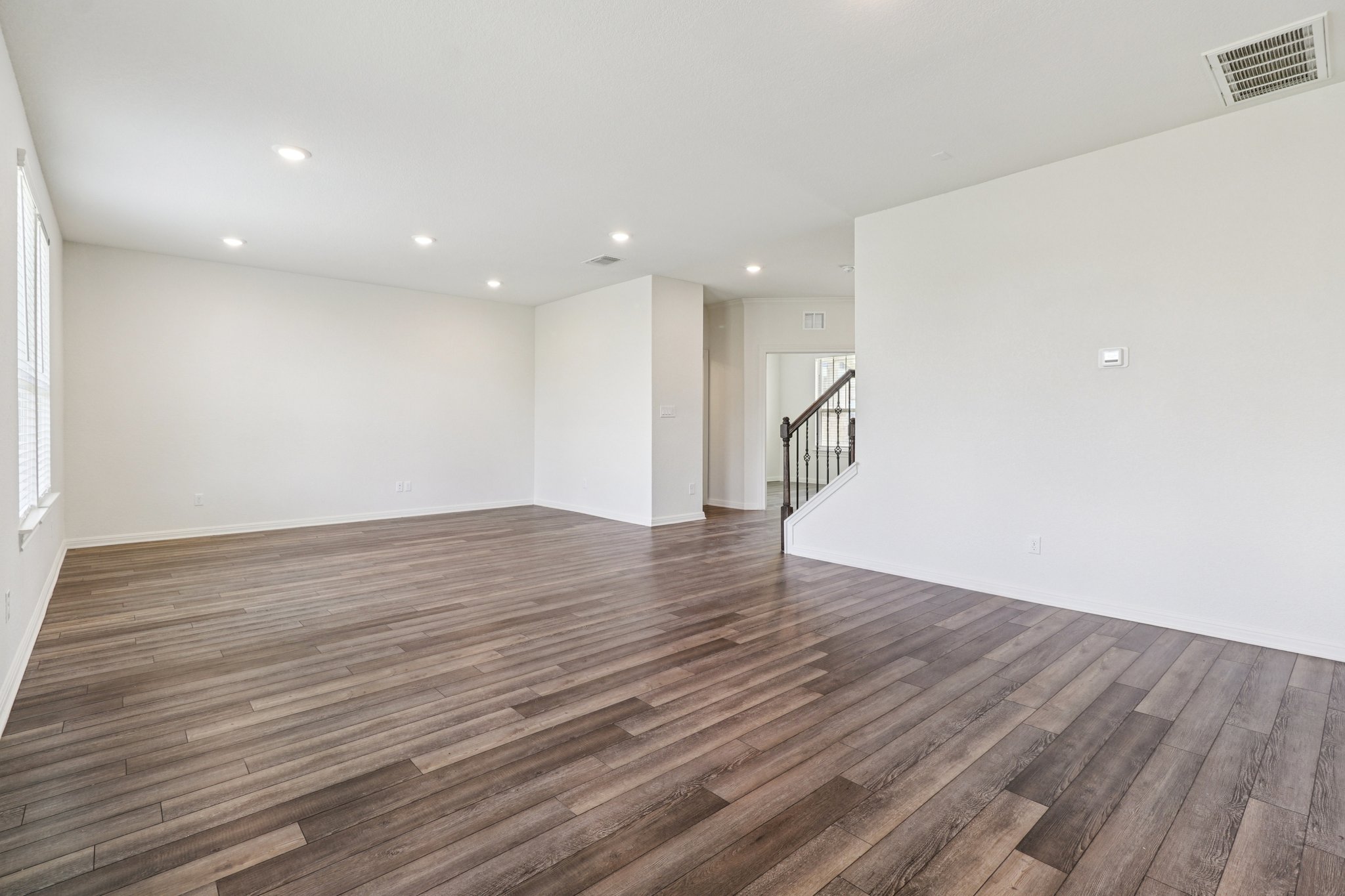 Red Knot Ave-S3103-005.jpg