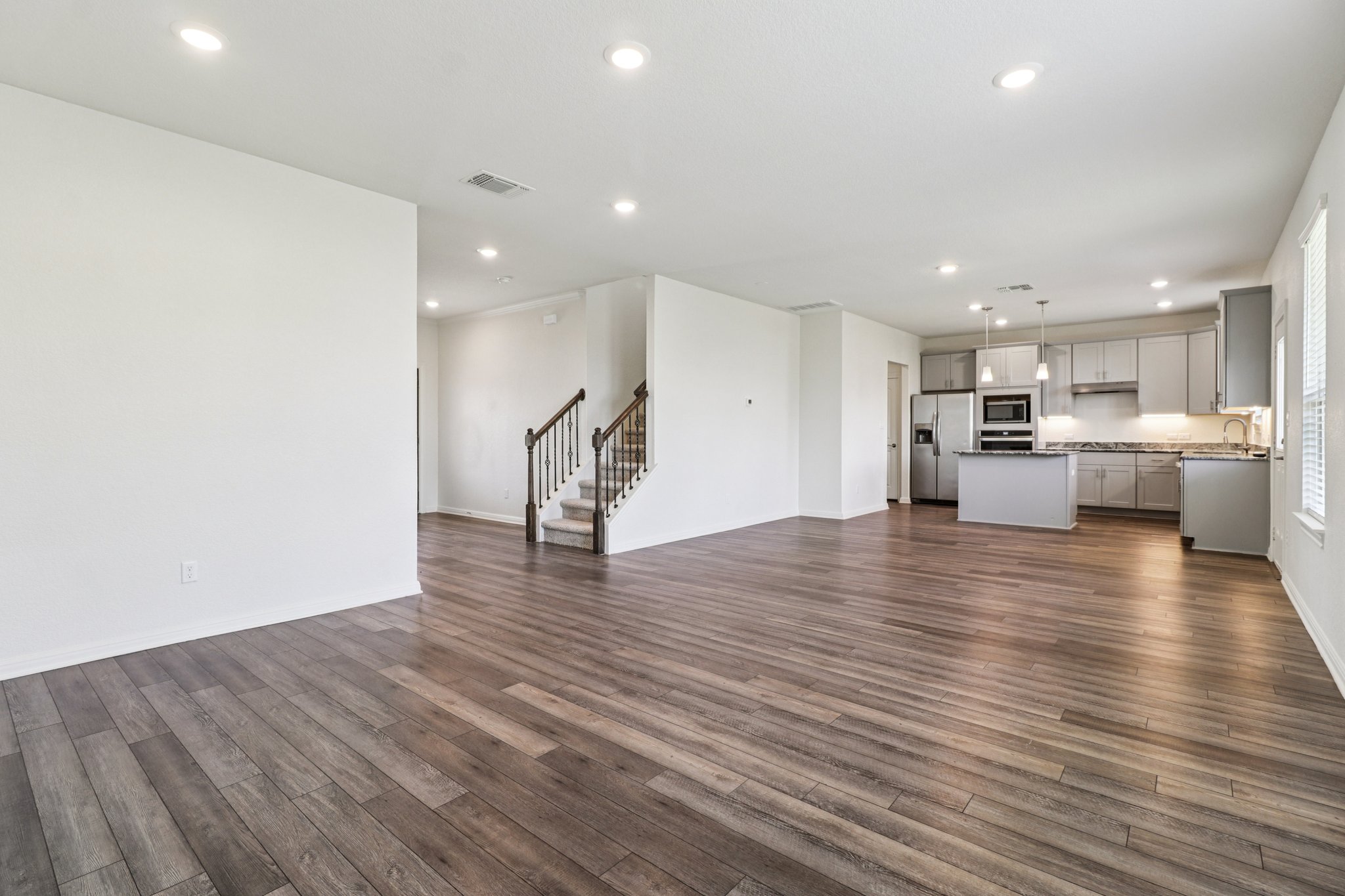 Red Knot Ave-S3103-006.jpg