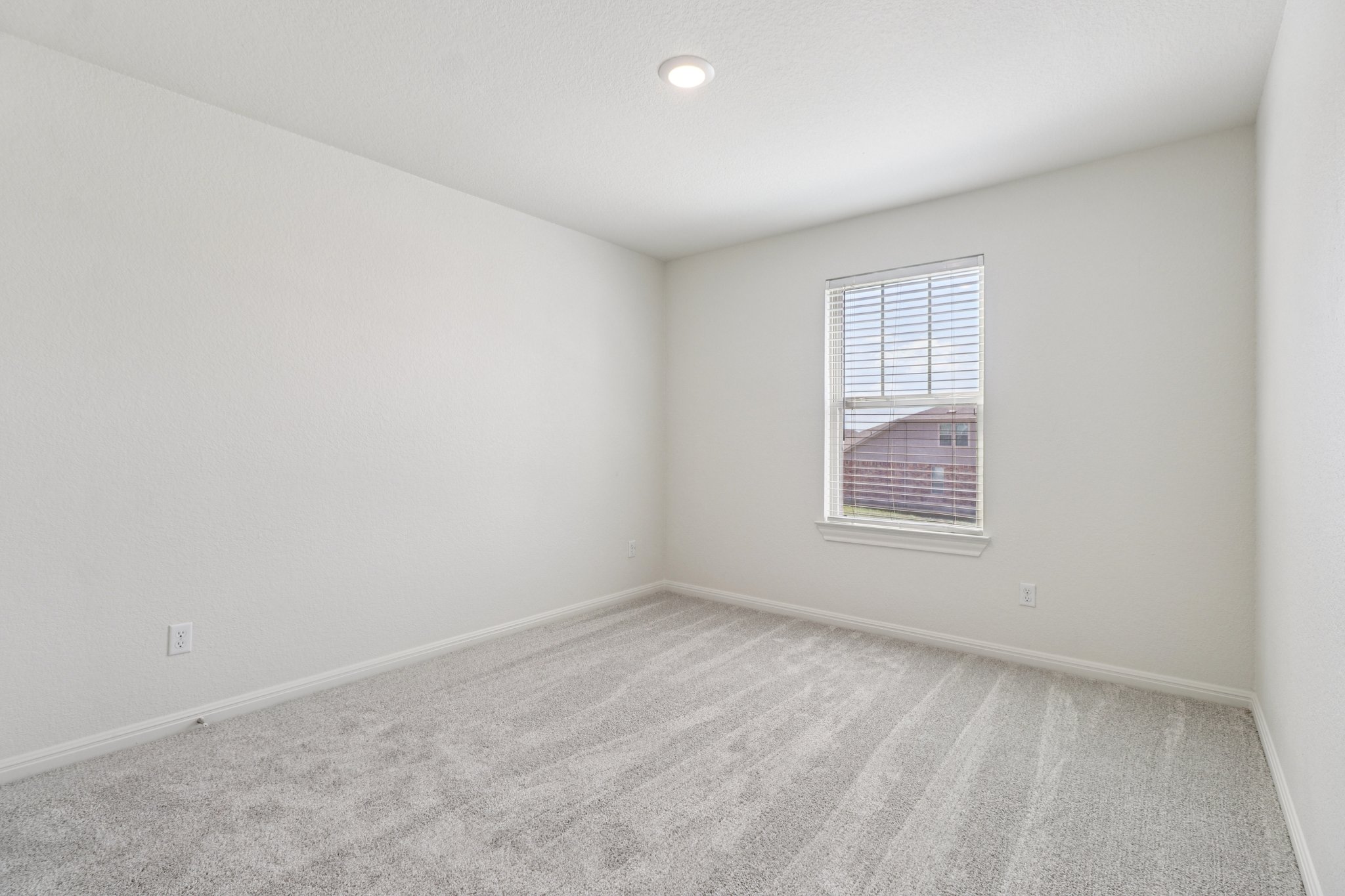 Red Knot Ave-S3103-017.jpg