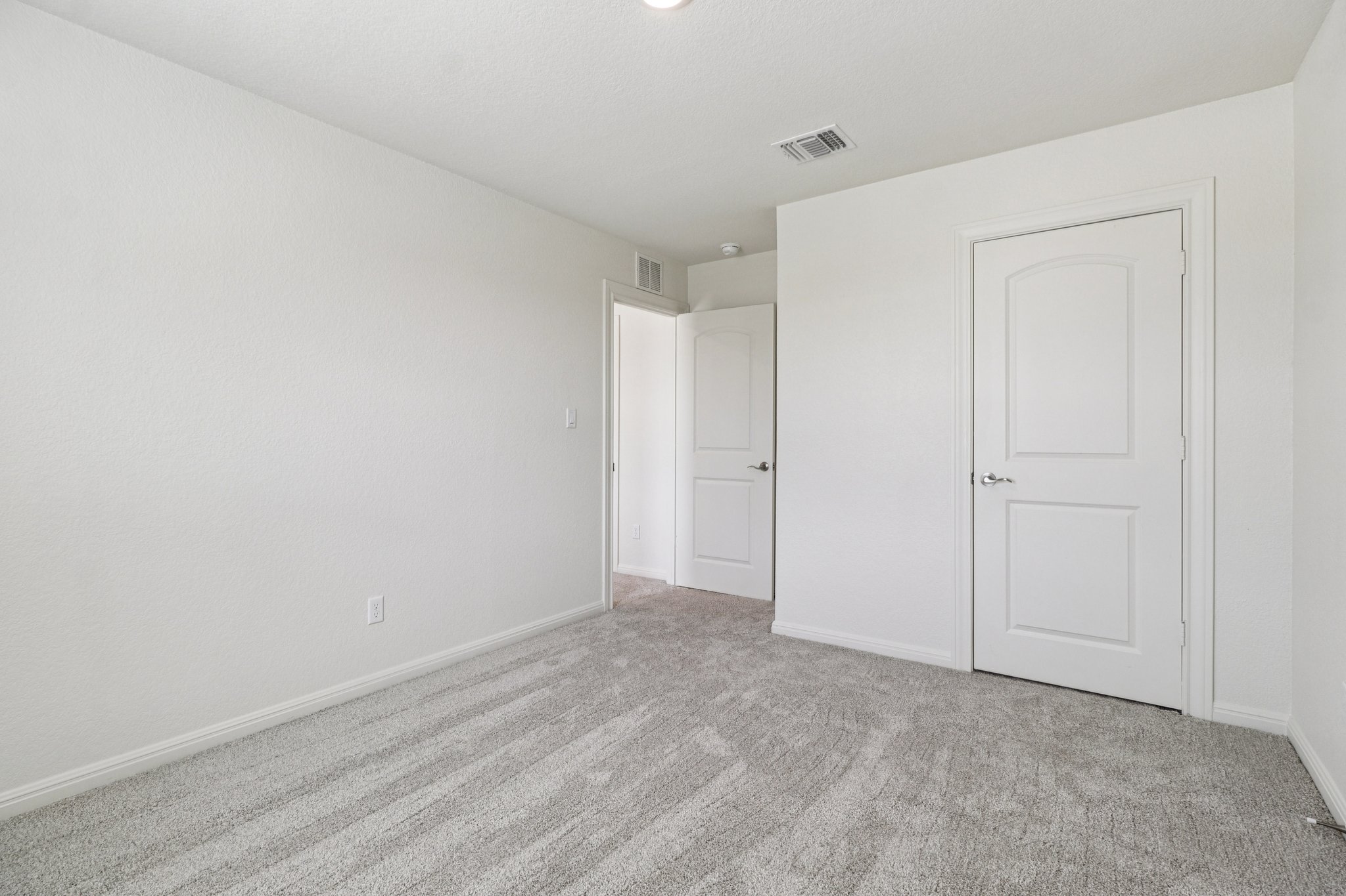 Red Knot Ave-S3103-018.jpg