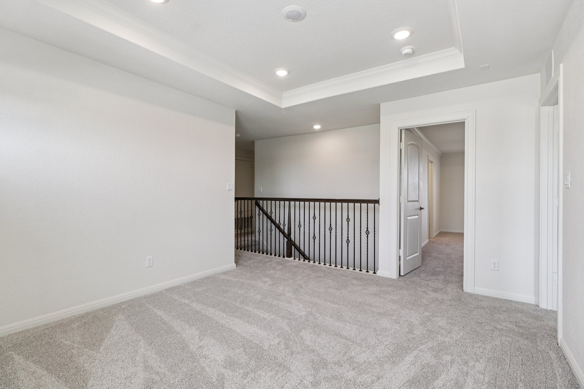 Red Knot Ave-S3103-020.jpg