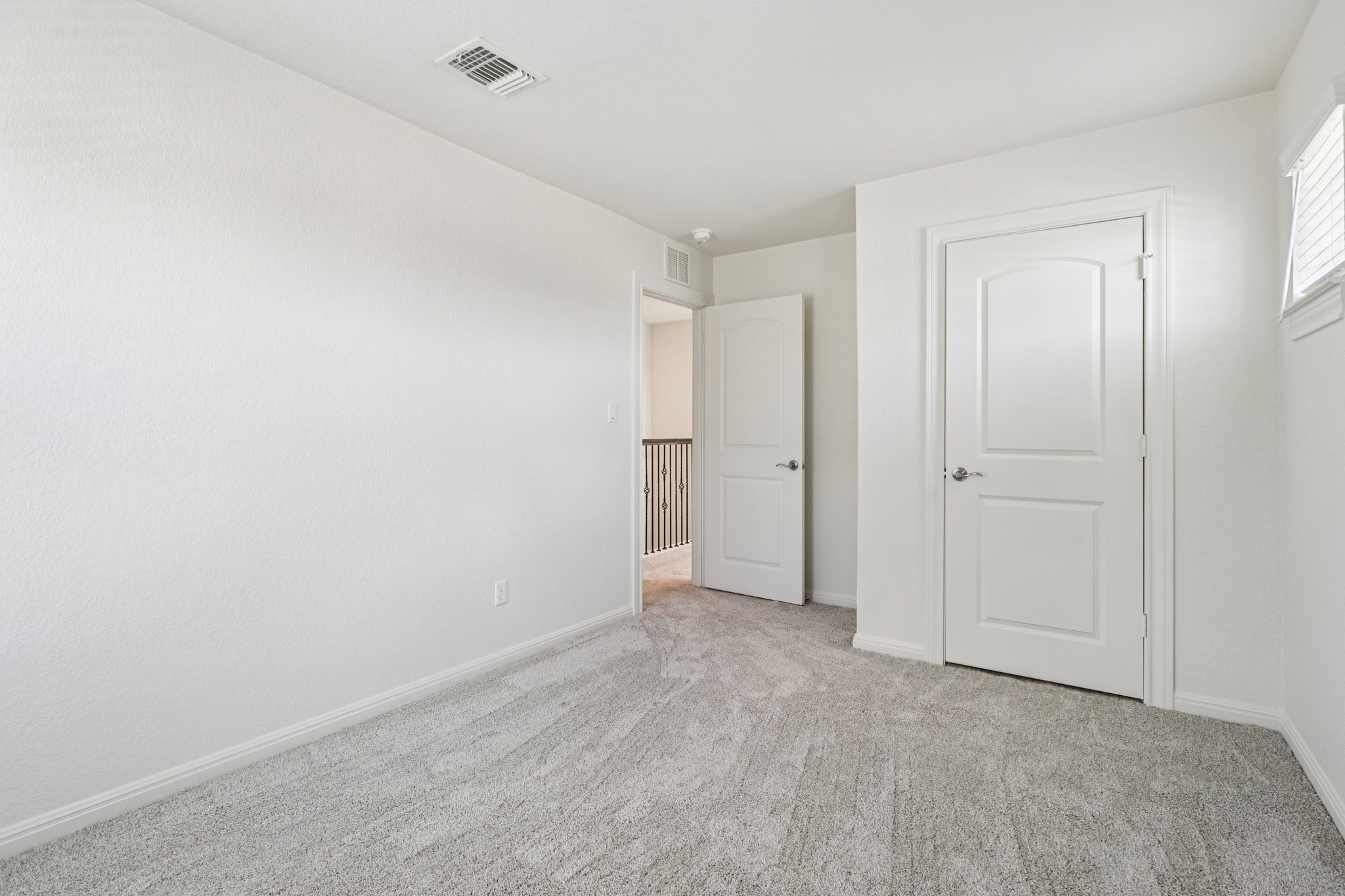 Red Knot Ave-S3103-022.jpg