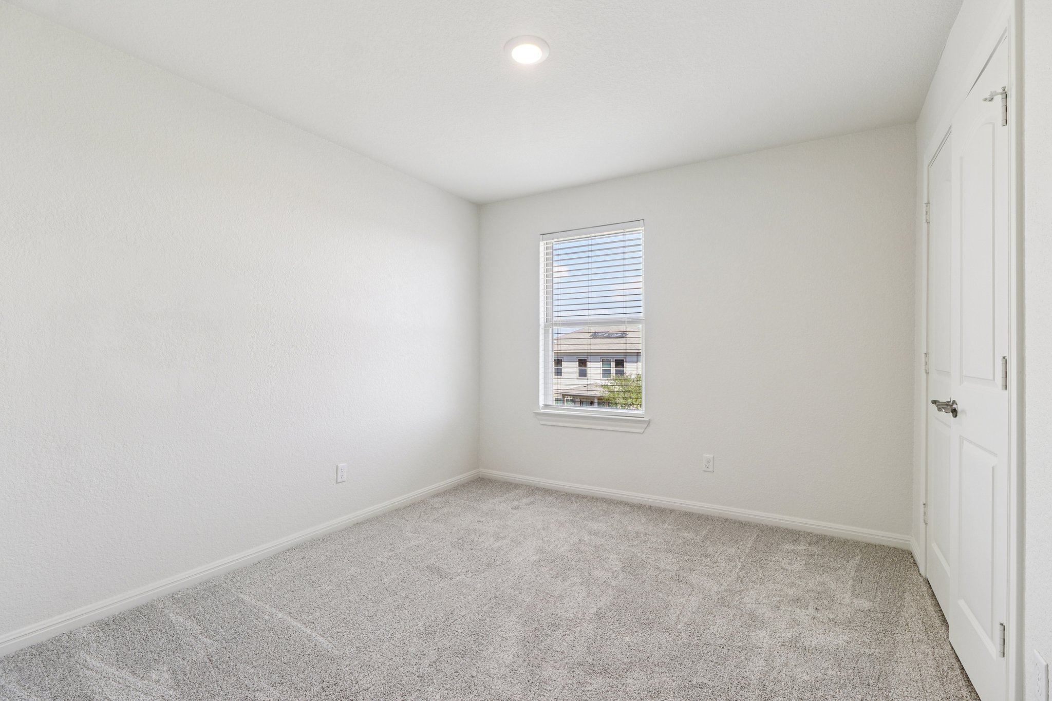 Red Knot Ave-S3103-023.jpg