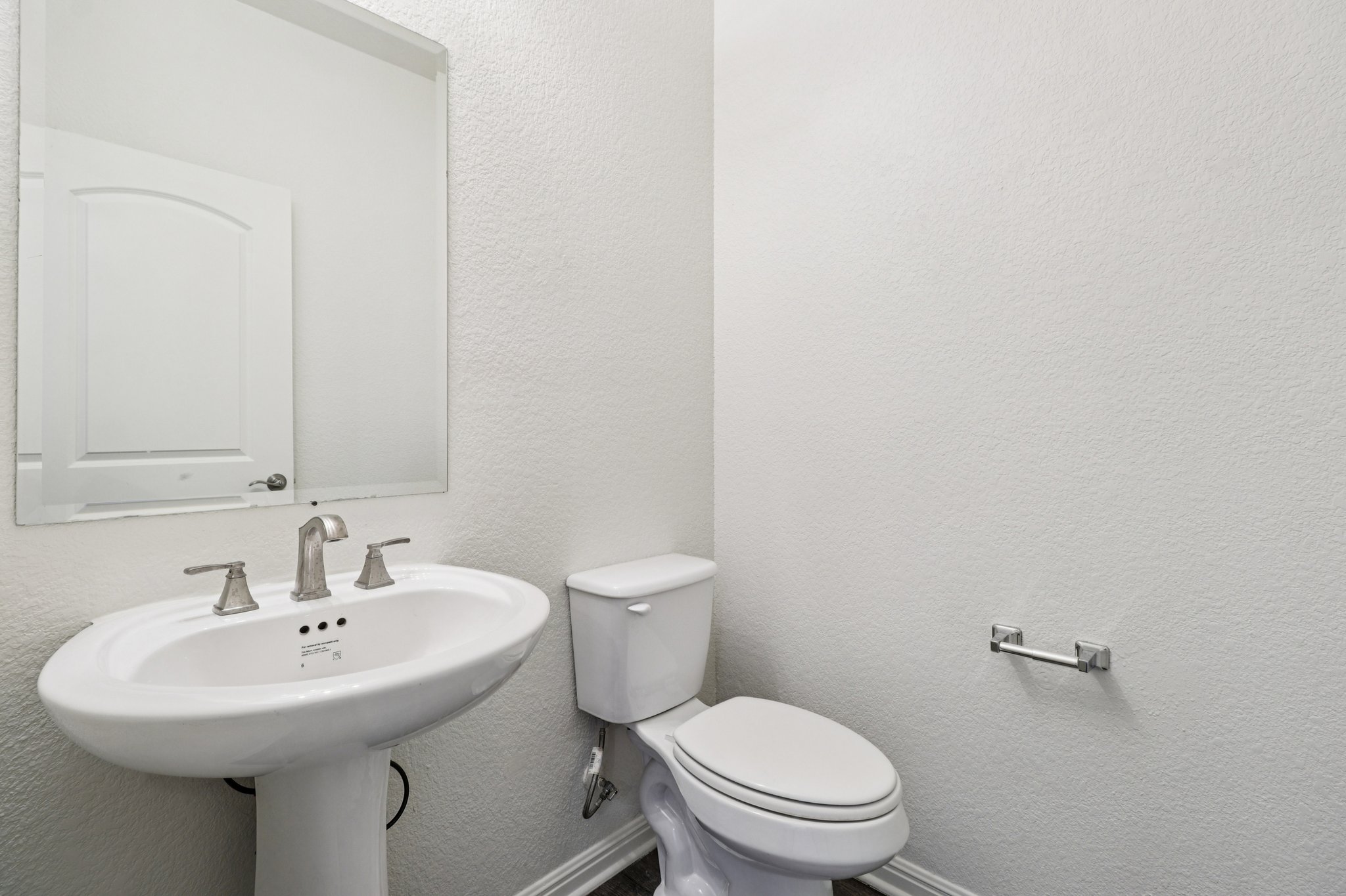 Red Knot Ave-S3103-025.jpg