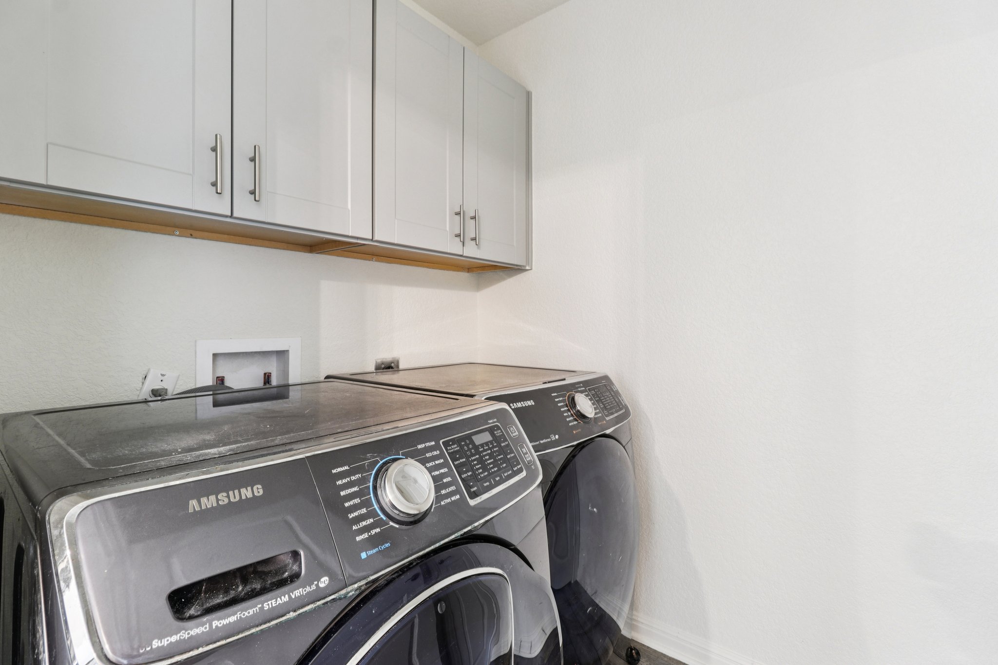 Red Knot Ave-S3103-028.jpg