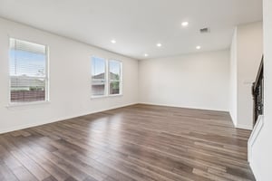 Red Knot Ave-S3103-004.jpg