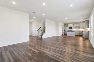 Red Knot Ave-S3103-006.jpg