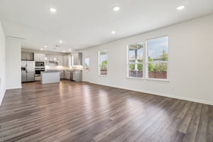 Red Knot Ave-S3103-007.jpg