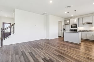 Red Knot Ave-S3103-008.jpg