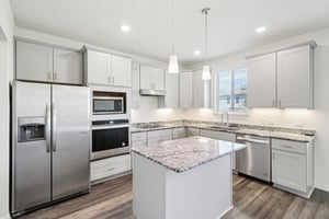 Red Knot Ave-S3103-009.jpg