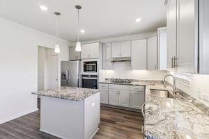 Red Knot Ave-S3103-010.jpg