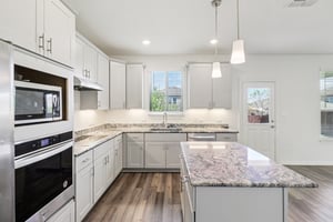 Red Knot Ave-S3103-011.jpg