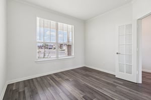 Red Knot Ave-S3103-012.jpg