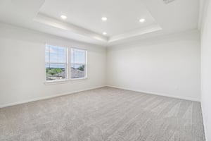 Red Knot Ave-S3103-014.jpg