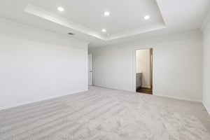 Red Knot Ave-S3103-016.jpg