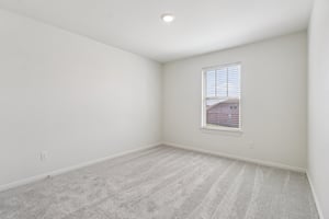 Red Knot Ave-S3103-017.jpg