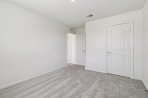 Red Knot Ave-S3103-018.jpg