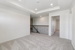 Red Knot Ave-S3103-020.jpg