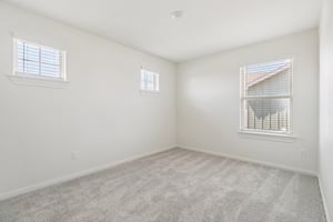 Red Knot Ave-S3103-021.jpg