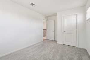 Red Knot Ave-S3103-022.jpg