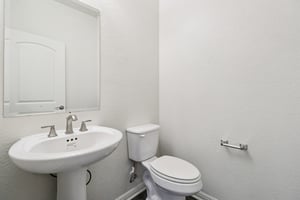 Red Knot Ave-S3103-025.jpg