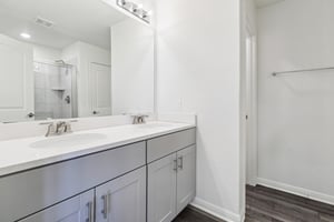 Red Knot Ave-S3103-026.jpg