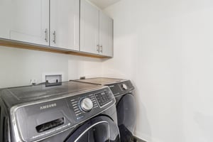 Red Knot Ave-S3103-028.jpg