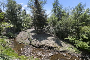  Photo 35