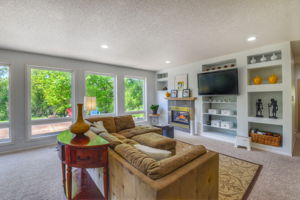 Lower Level Living Room