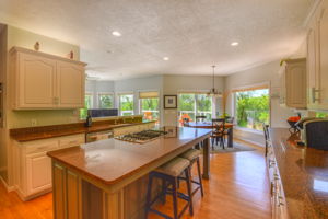 Lower Level Kitchen