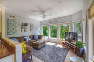 Lower Level Family Room