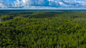  63 Haystead Bay Rd, Parry Sound, ON P2A 2W8, US Photo 47