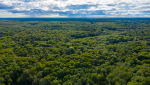  63 Haystead Bay Rd, Parry Sound, ON P2A 2W8, US Photo 46