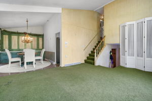  Photo 49