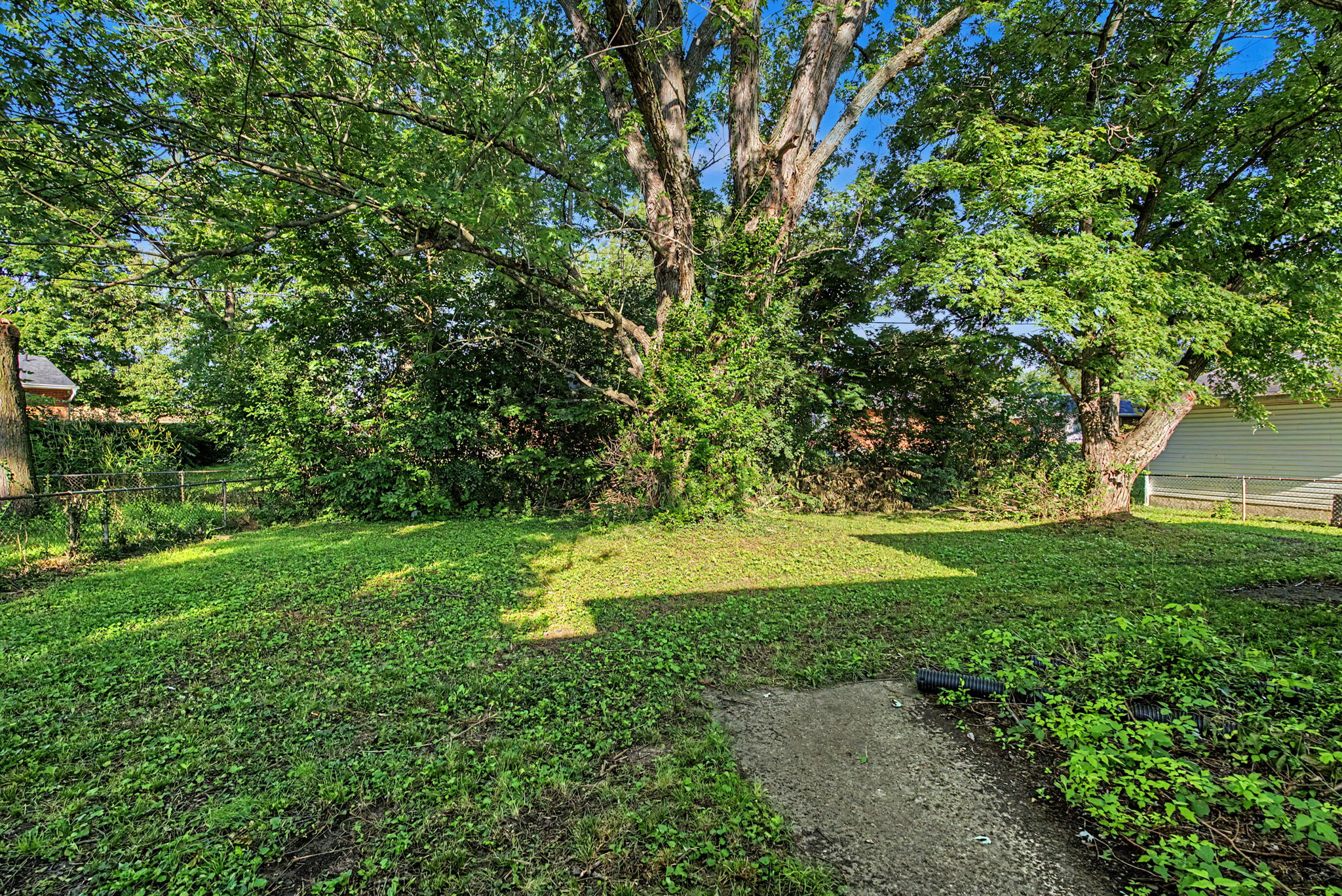  Photo 43
