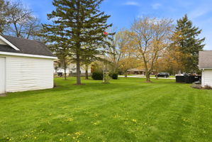  Photo 46