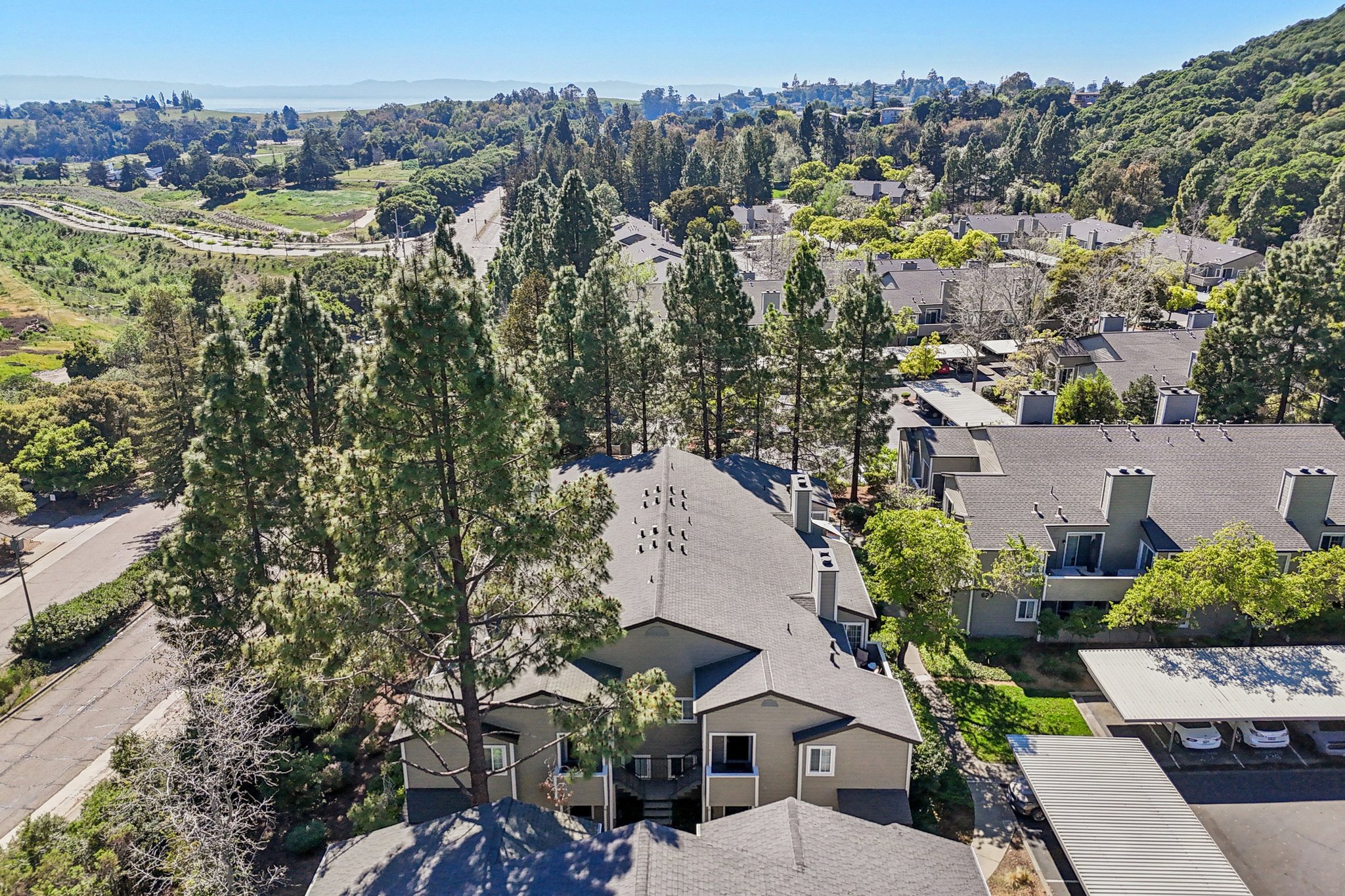 Canyon Oaks Dr-S2103-037.jpg