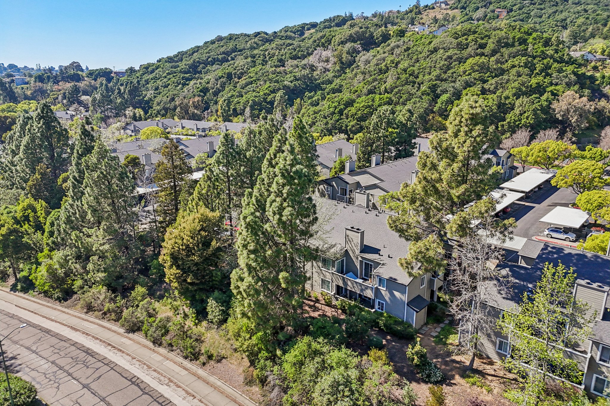 Canyon Oaks Dr-S2103-038.jpg