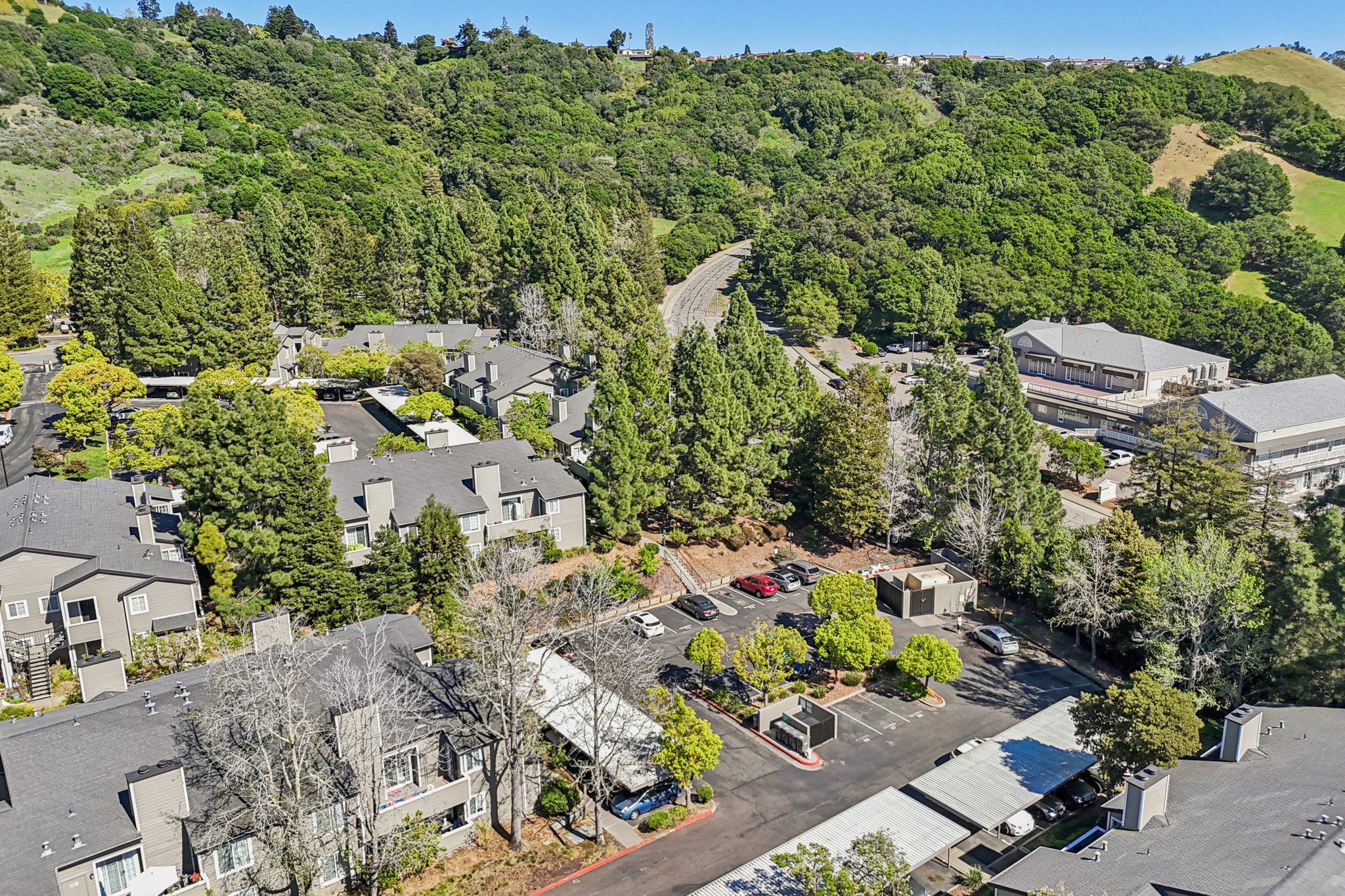 Canyon Oaks Dr-S2103-040.jpg