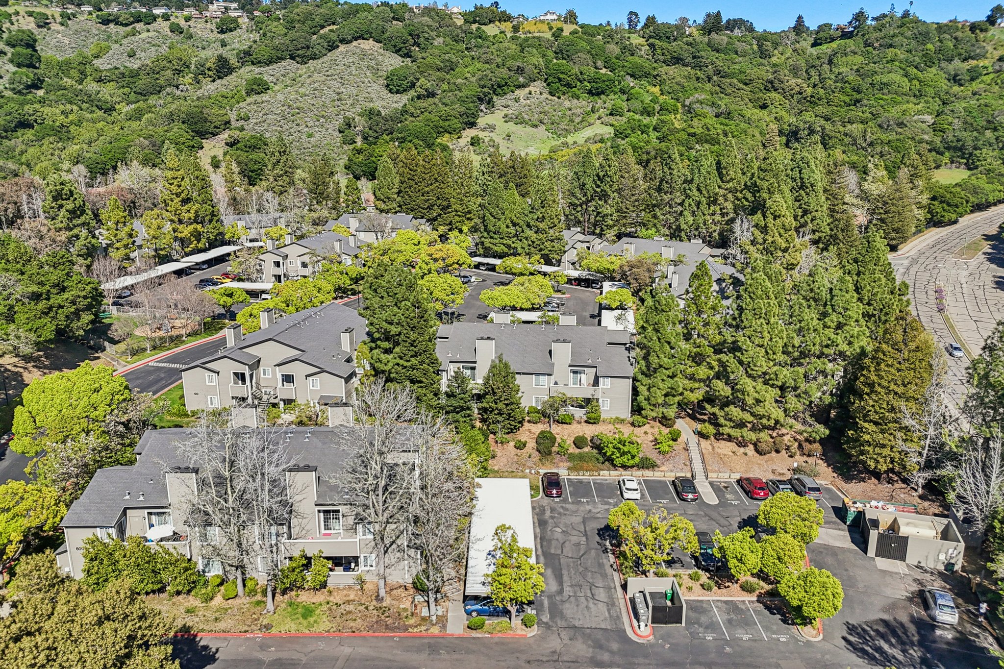 Canyon Oaks Dr-S2103-041.jpg