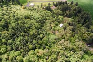 Aerial of Wooded Acreage