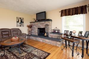 Living Room Fireplace