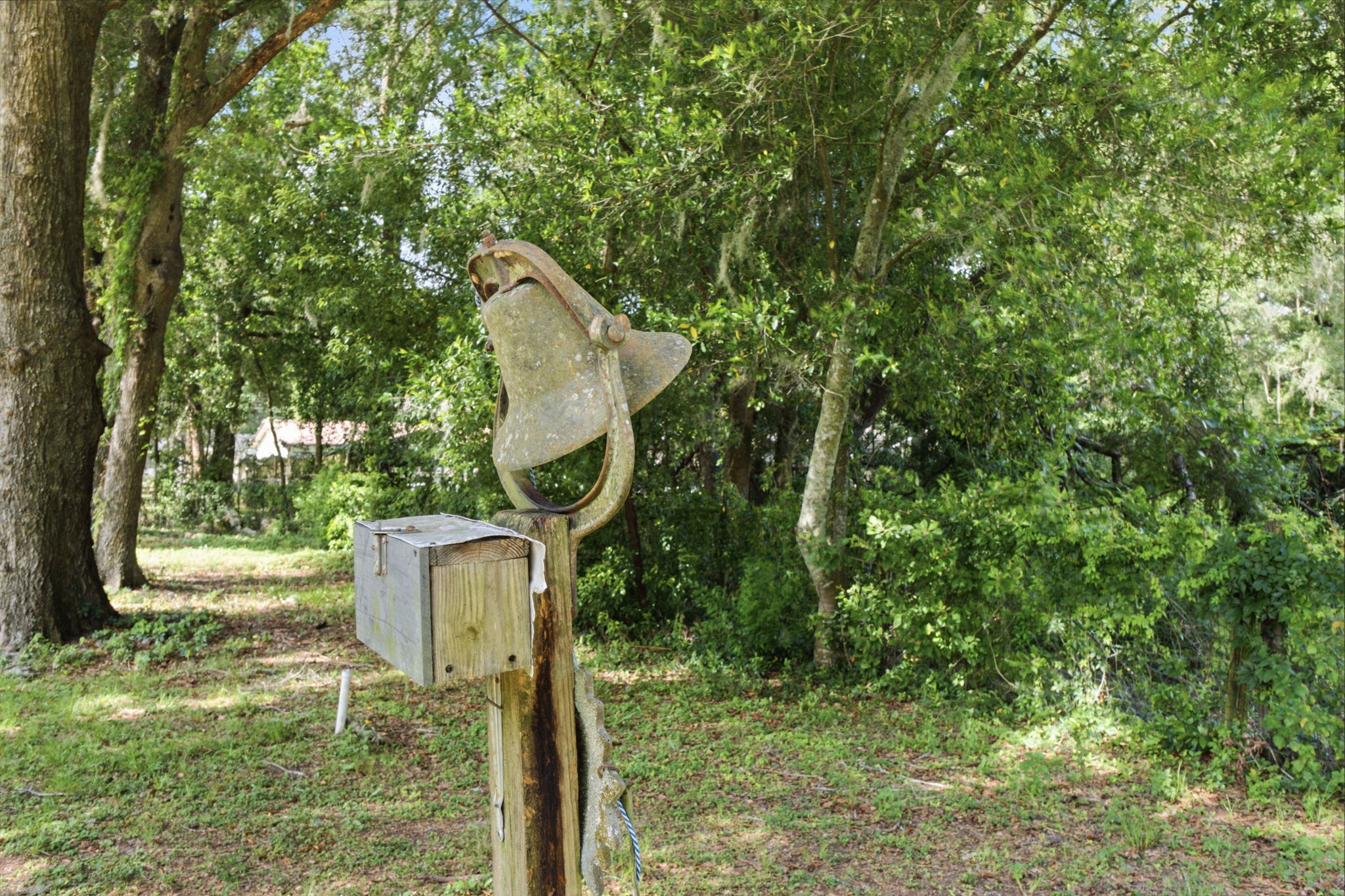  Photo 41