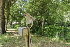  Photo 40