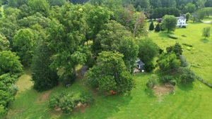  Photo 93