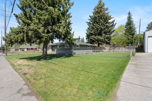  Photo 44