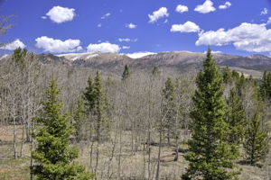  Photo 0