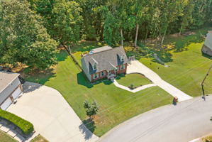  Photo 41